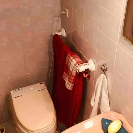 Charming Quiet Big Flat Surrounding Gardens גרנובל